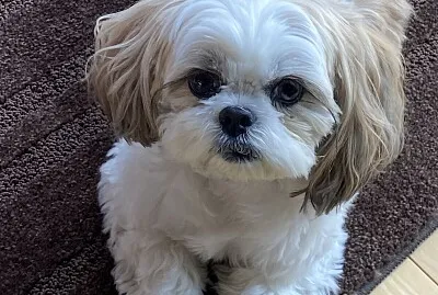 Mia