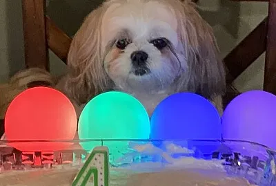 Mia 's 4th Birthday