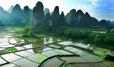 Arrozal jigsaw puzzle