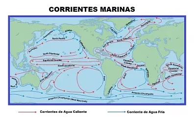 Crriemtes marinas