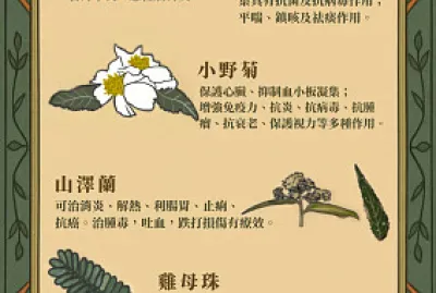 野菜拼圖