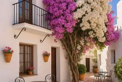 Bouganvillas