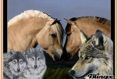Chevaux et loups
