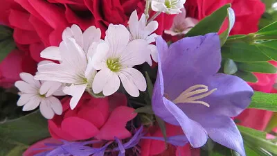 Blumenstrauß jigsaw puzzle