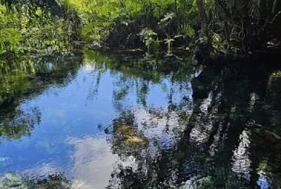 Manantial Guayaney, Manatí, PR