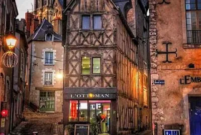 Blois,Valle del Loira jigsaw puzzle