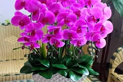 imagem jigsaw puzzle