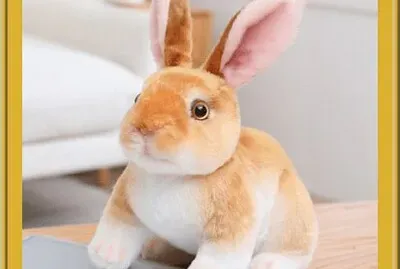 Lapin réaliste