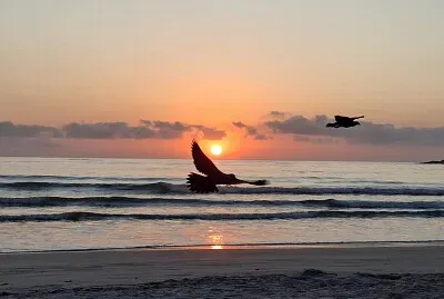Amanhecer em Ubatuba - Verão 2025