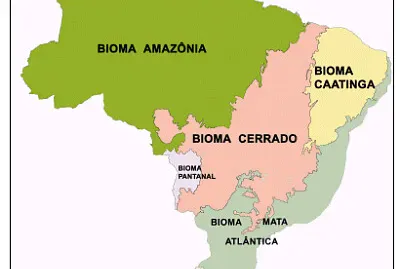 Biomas brasileiros jigsaw puzzle