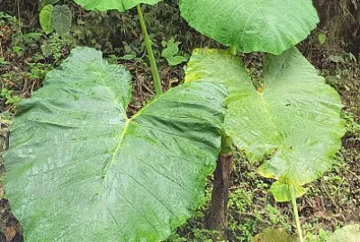 Mis recorridos por Colombia