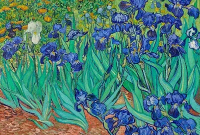 Irises (1889)
