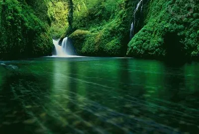 natureza
