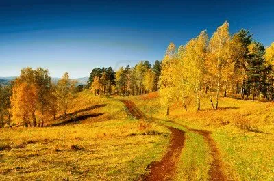 hermoso paisaje en otoÃ±o