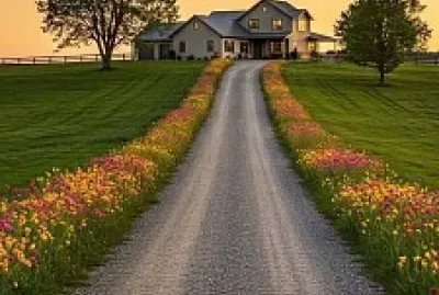 estrada jigsaw puzzle