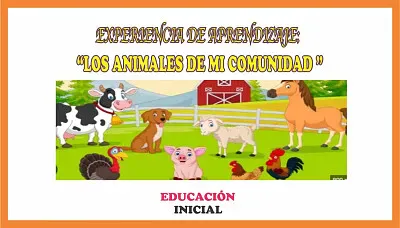 animales domesticos