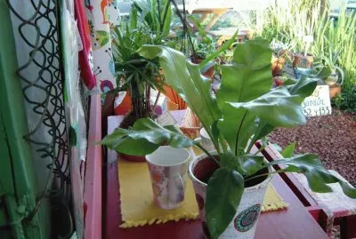 ImÃ¡genes jigsaw puzzle