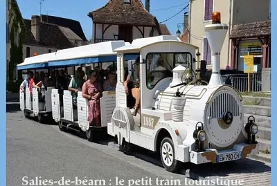 Petit train touristique