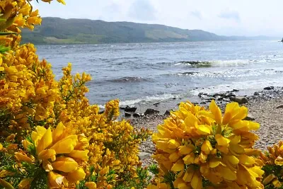 Loch Ness, Schottland