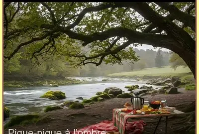 Pique-nique à l 'ombre