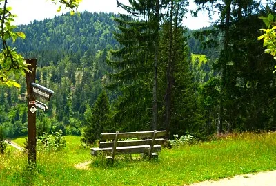 Schwarzwald jigsaw puzzle