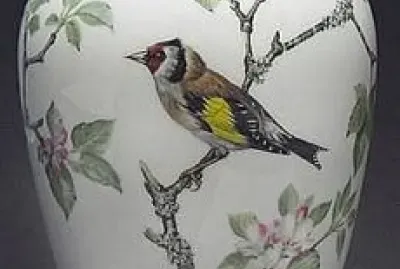 Wild Birds