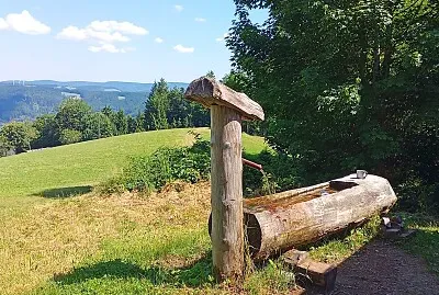 Schwarzwald jigsaw puzzle