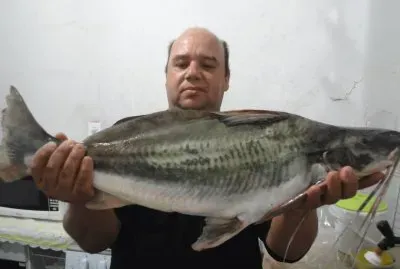 pesca