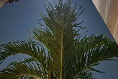 Las noches en Cancun