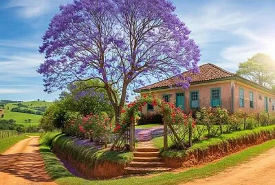 Casa