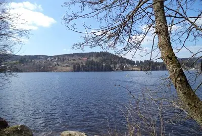 Titisee im Schwarzwald