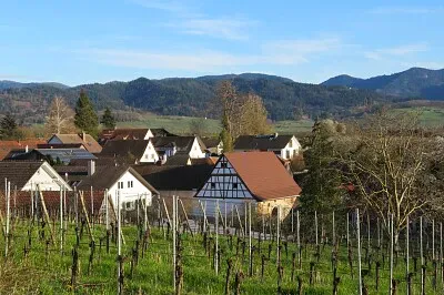 Betberg, Markgräfler Land