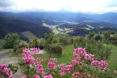 Schwarzwald