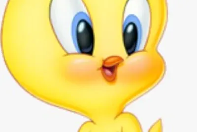 פאזל של PIU PIU BEBE