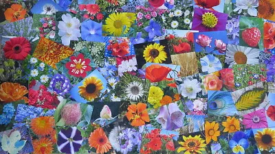 Blüten