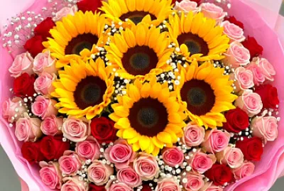 Flores