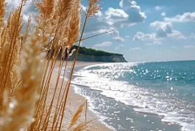 Praia com plantação