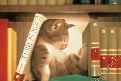 cat jigsaw puzzle