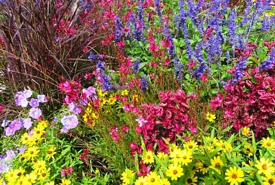 Blumenbeet