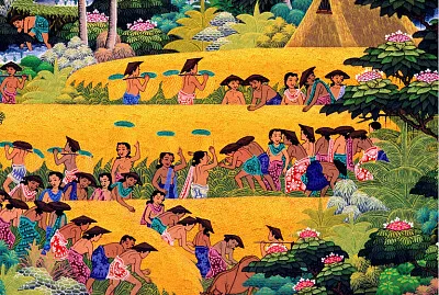 récolte du blé à Bali