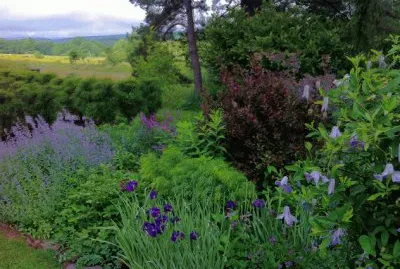 Lilacs and Buttercups jigsaw puzzle