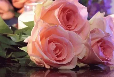 Rosas rosas jigsaw puzzle