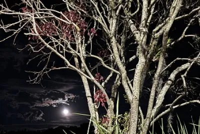 LUNA DE AGOSTO