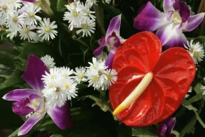 Ramo de flores jigsaw puzzle