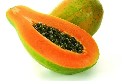 palavras para treino