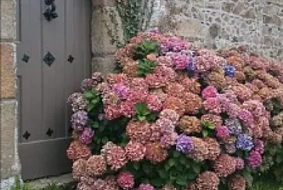 puerta