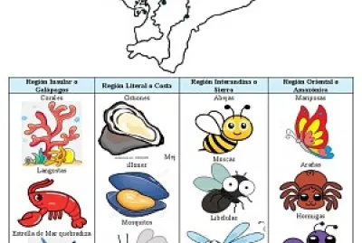 פאזל של animales invertebrados