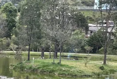 PAZ