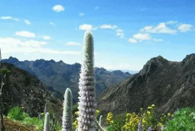 ANCASH jigsaw puzzle