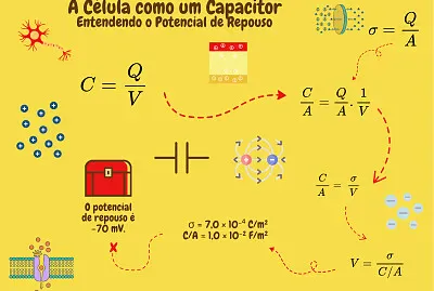 Célula e capacitor